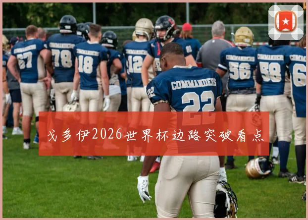 戈多伊2026世界杯边路突破看点