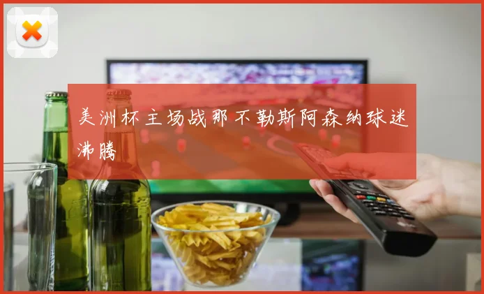 美洲杯主场战那不勒斯阿森纳球迷沸腾